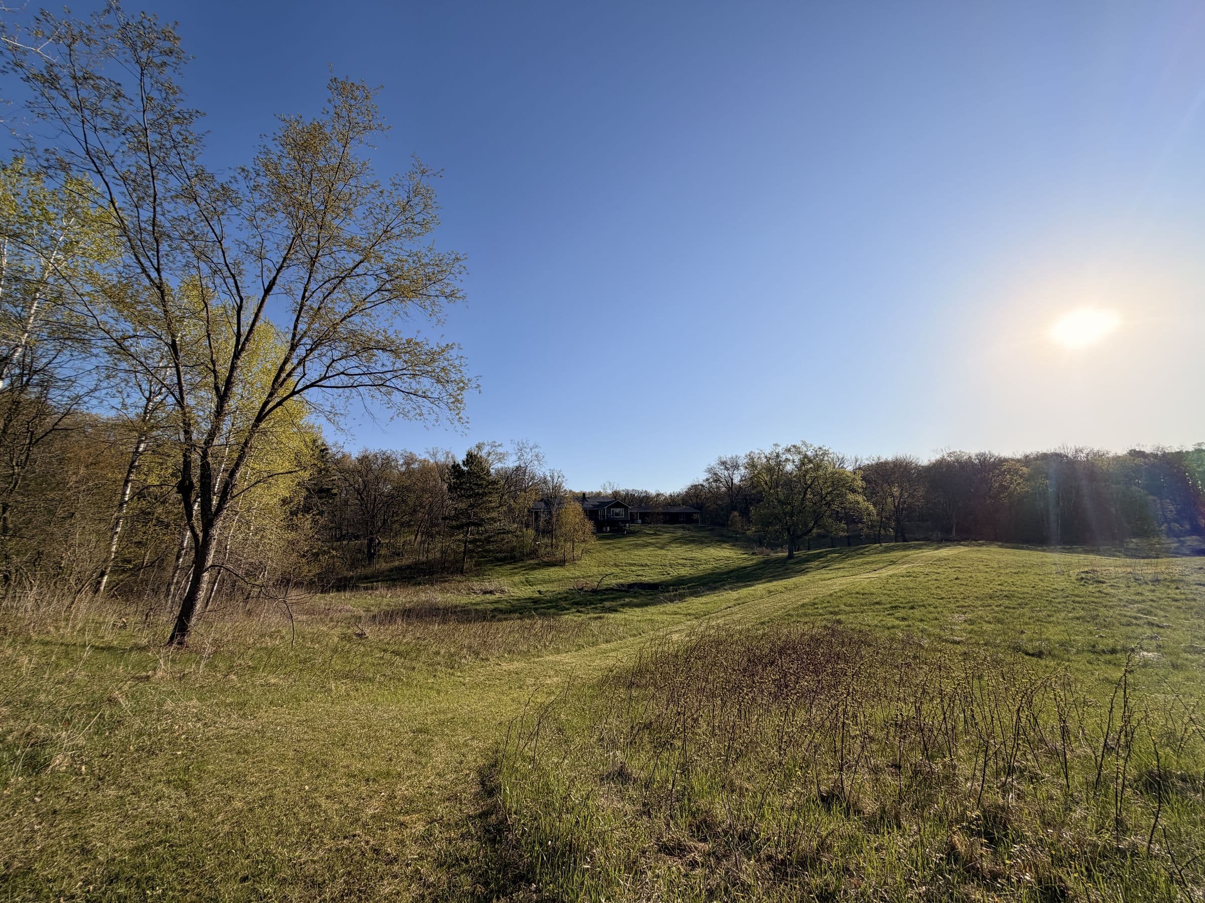A Minnesota meadow in spring