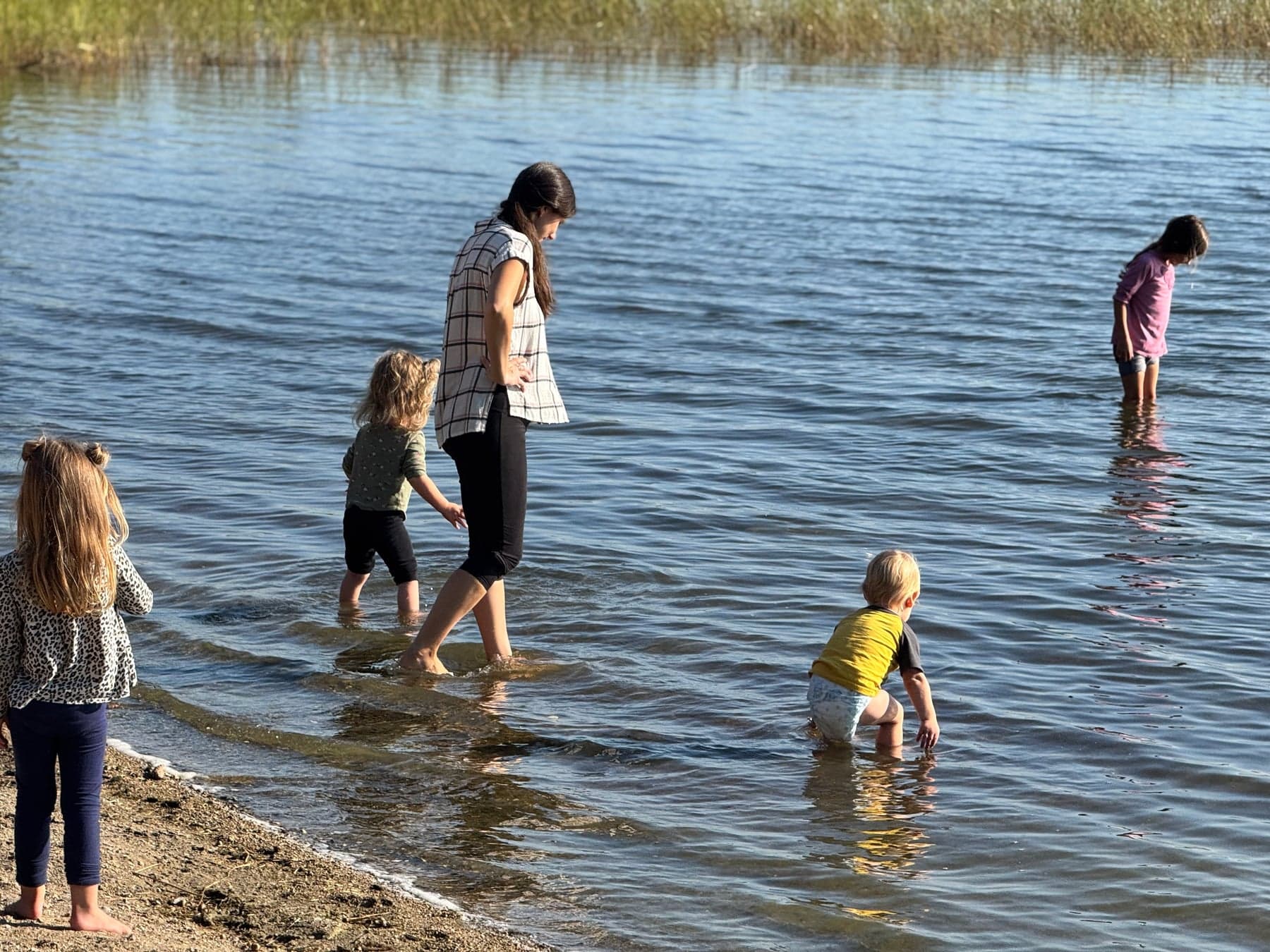 A mother and children playing together at the edge of a lake